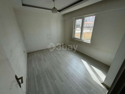 WhatsApp Image 2026-02-17 at 14.17.58.jpeg